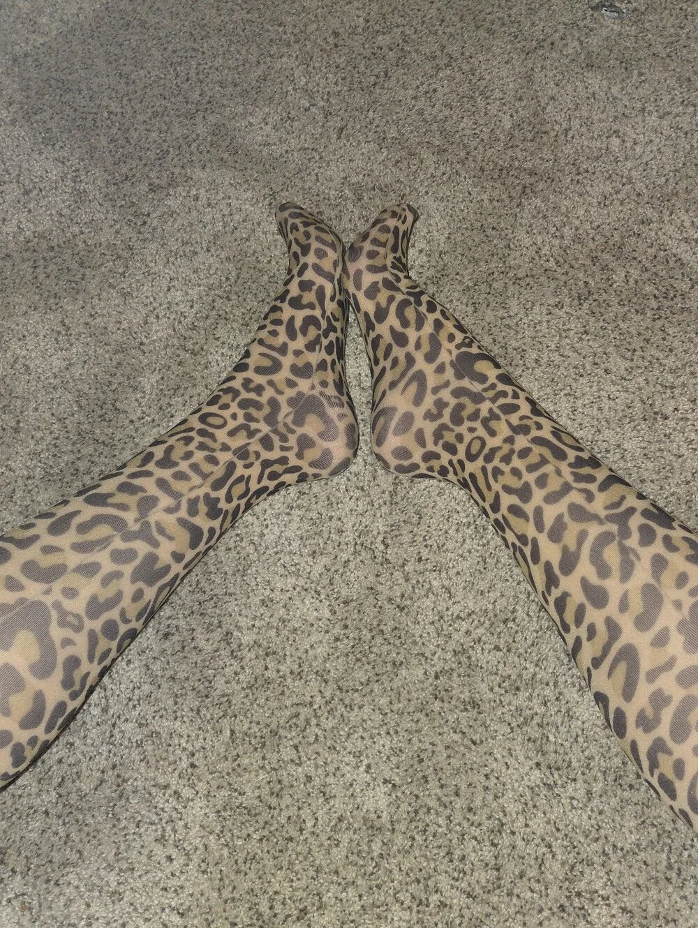 Women's Leopard Print Sheer Nylon Socks - Pantyhose Socks